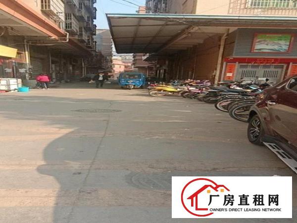  黎贝岭圹岭126号一楼，可开做毛织，五金，仓库，小型加工厂