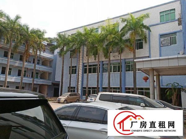  大朗镇新出独门独院厂房。