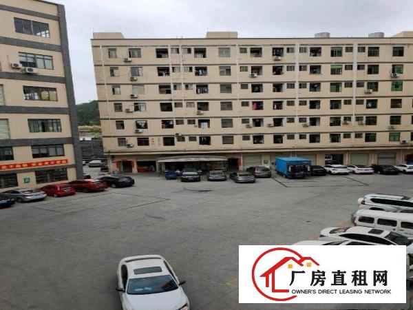  大朗镇标准工业园区厂房分租