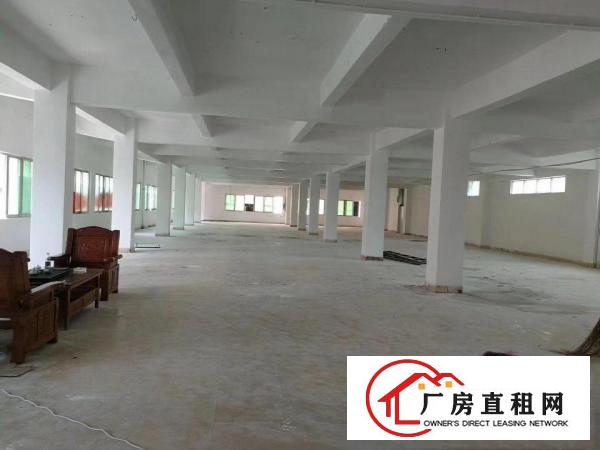  原房东独院厂房整租分租