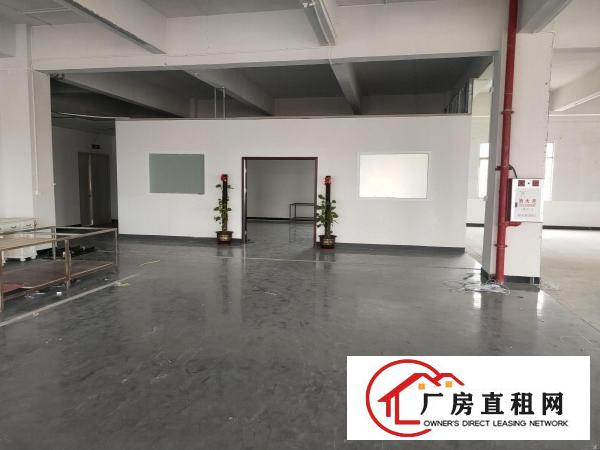  原房东独院厂房整租分租