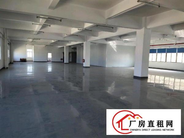  洋乌工业区新出二楼厂房1850平，可办环评