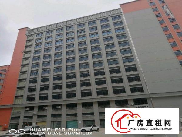  大朗一手厂房业主火爆招商