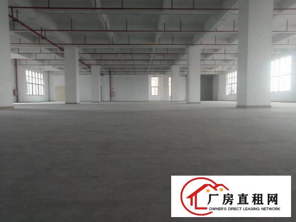  大朗一手厂房业主火爆招商