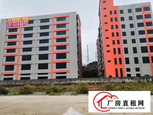  大朗一手厂房业主火爆招商