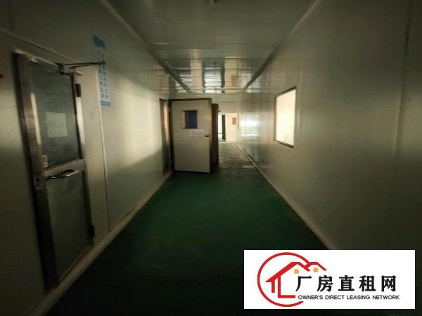  大朗镇工业园区无尘车间出租