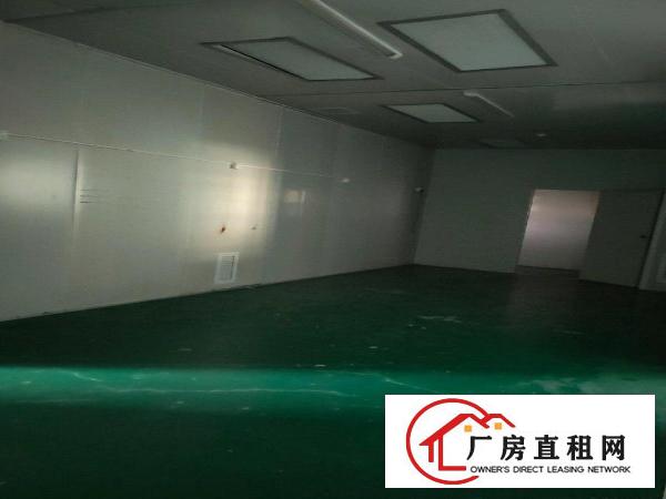  大朗镇工业园区无尘车间出租