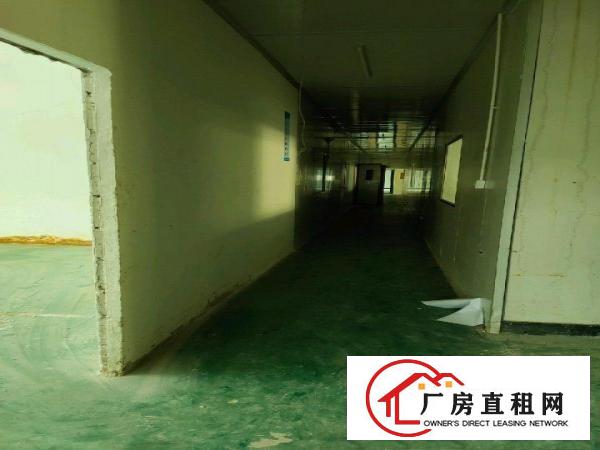  大朗镇工业园区无尘车间出租