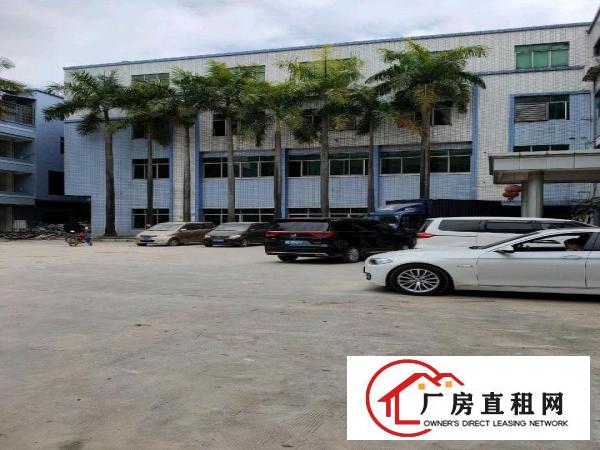  大朗镇标准工业厂房出租