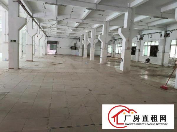  大朗镇标准工业厂房出租