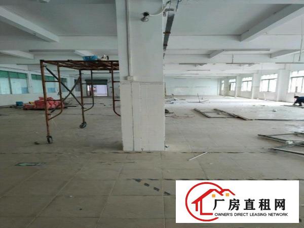  大朗镇标准工业厂房出租