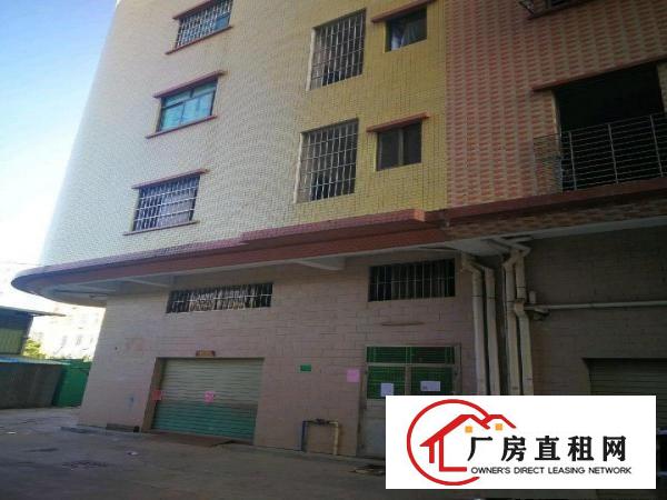  自建房，独立单幢四层半