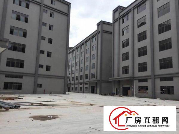 出租大朗镇洋乌全新厂房总面积10万平米招租