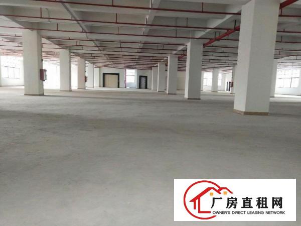  大朗（原房东）厂房出租/可办环评