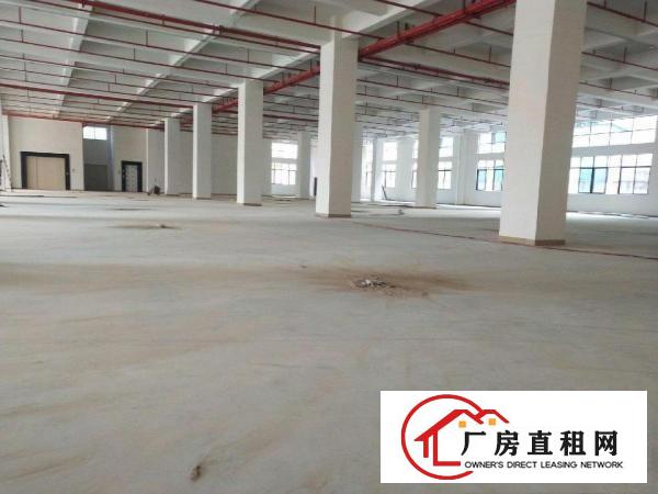  大朗（原房东）厂房出租/可办环评