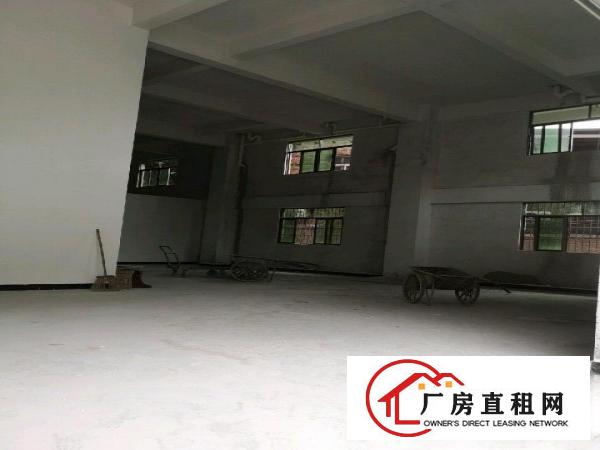  房东出租，可做小型加工厂毛织，逢盘后整汤衣等