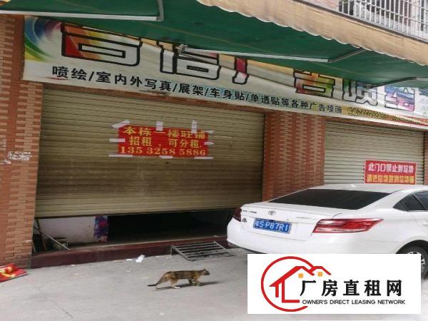  房东出租，可做小型加工厂毛织，逢盘后整汤衣等