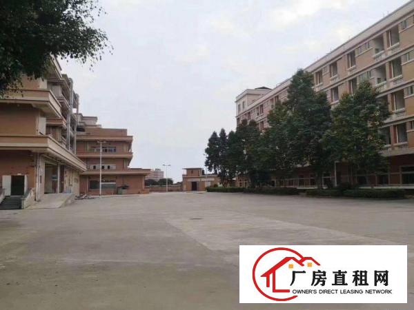  大朗独院厂房出租大小可分租