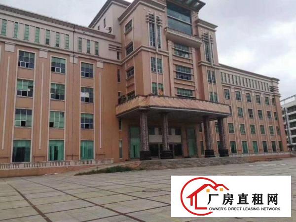  大朗独院厂房出租大小可分租