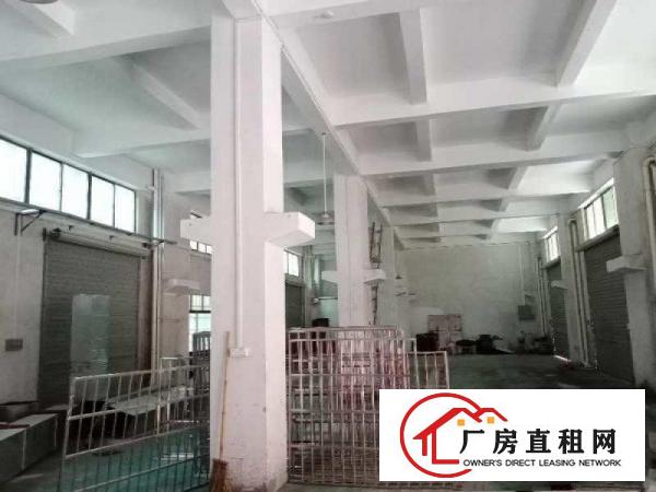  新出带牛角厂房出租、带办公室装修