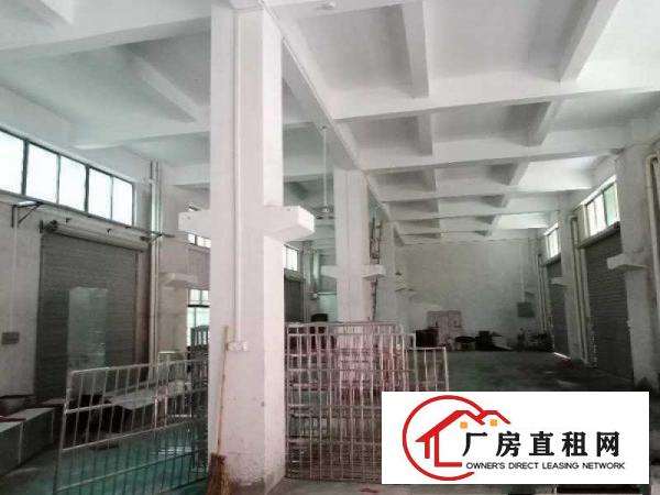 新出带牛角厂房出租、带办公室装修
