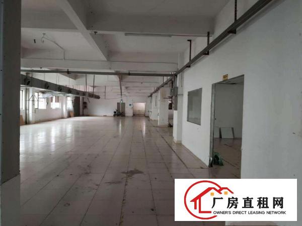  低价独门独院厂房出租