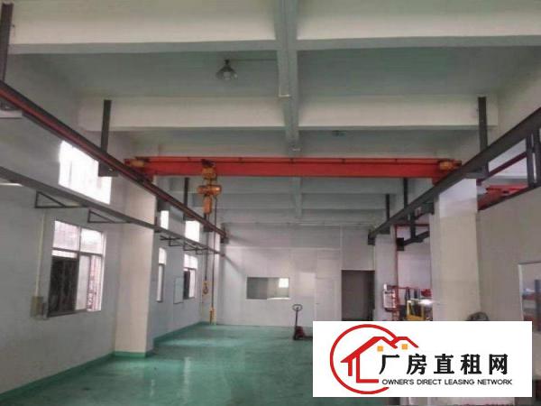 洋乌分租1楼800平，3吨行车2条，精装修