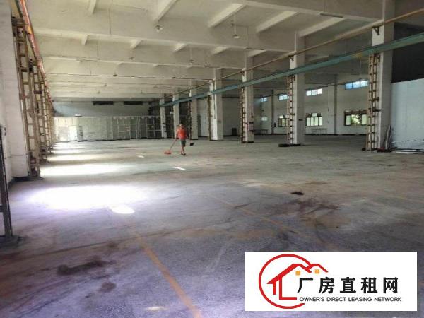  犀牛陂原房东6米高一楼厂房2100平方出租