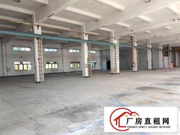  犀牛陂原房东6米高一楼厂房2100平方出租