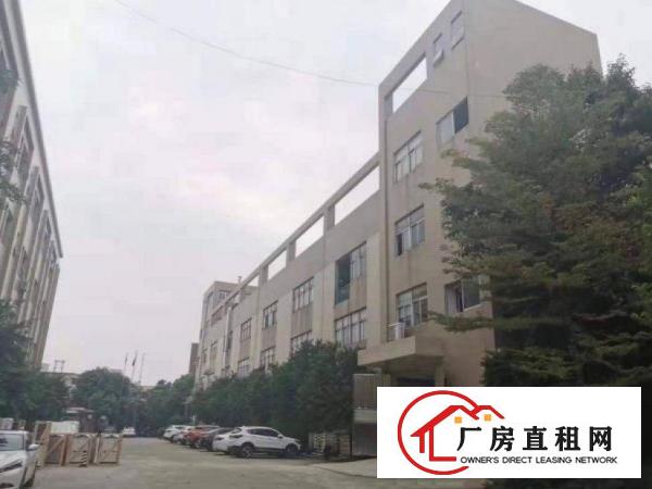  洋坑塘一楼500平方，带航车，水电齐全厂房出租