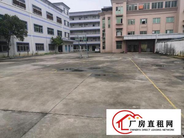  大朗镇洋坑塘村新出原房东独院分租一楼1500平方