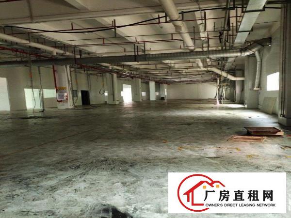  独门独院，靠华为。花园式厂房