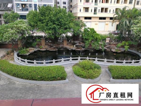  标准工业厂房，厂房形象佳