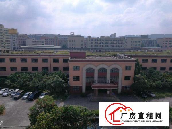  标准工业厂房，厂房形象佳