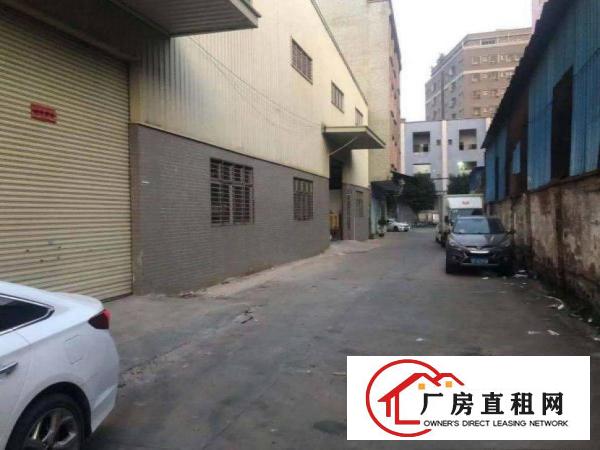  长富新出单一层钢构厂房500平方出租可环评
