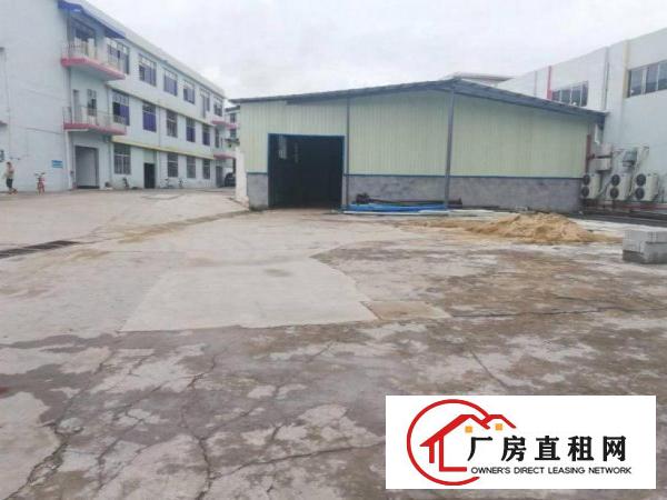  宝陂工业区新出全新独院钢构厂房550平米出租空地大