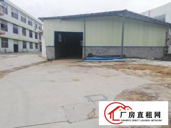  宝陂工业区新出全新独院钢构厂房550平米出租空地大