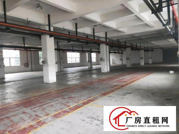  大朗靠近黄江新出一楼2500平米厂房出租可以分租