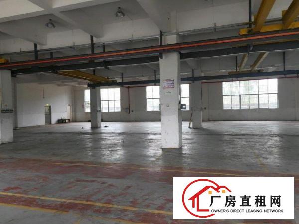  大朗靠近黄江新出一楼2500平米厂房出租可以分租