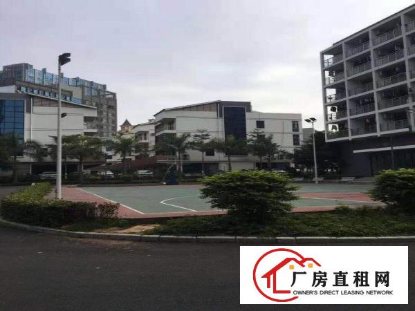  物流园10万平招租，带卸货平台，可分租