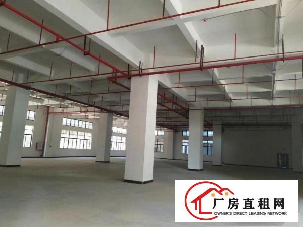  大朗原房东全新工业厂房，红本产权，带消防喷淋