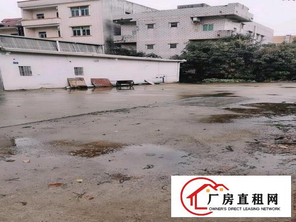  原房东独院厂房门前空地超大有宿舍办公司