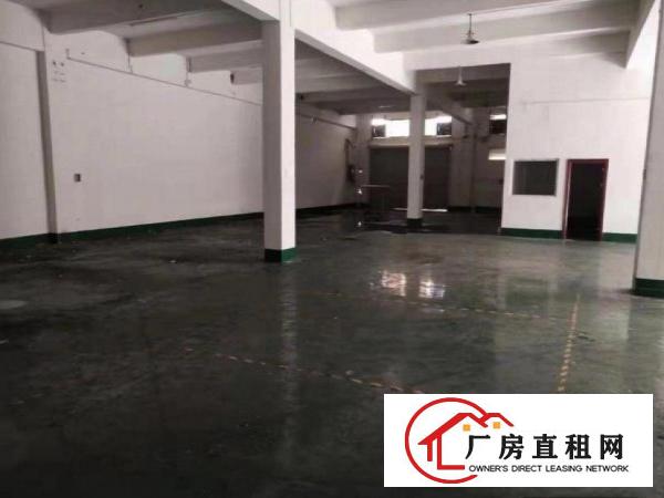  沙步工业区一楼厂房5.5米高1100平方，带装修有环评水电全