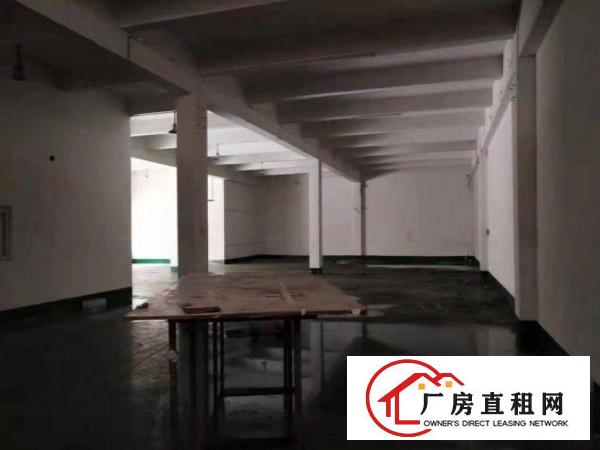  沙步工业区一楼厂房5.5米高1100平方，带装修有环评水电全