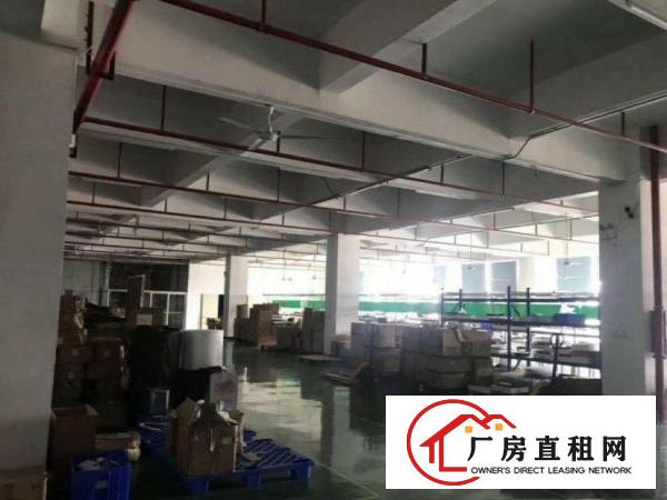  佛新1500平现成办公室厂房出租原房东，可办环评