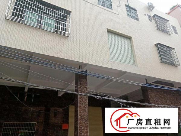  大朗镇200平方-2000平方厂房招租价格便宜