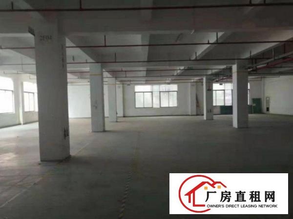  犀牛陂标准一楼1000平方精装修厂房，形象靓，便宜