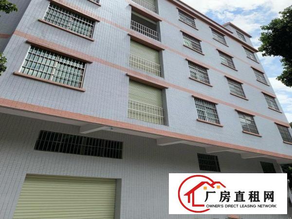  大朗镇长塘村全新房屋屋主直租
