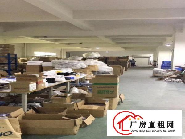  大朗镇独门独院厂房出租原房东