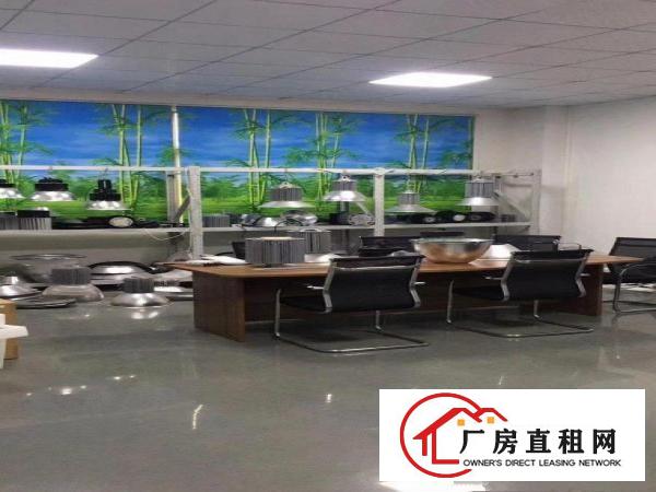  大朗镇独门独院厂房出租原房东